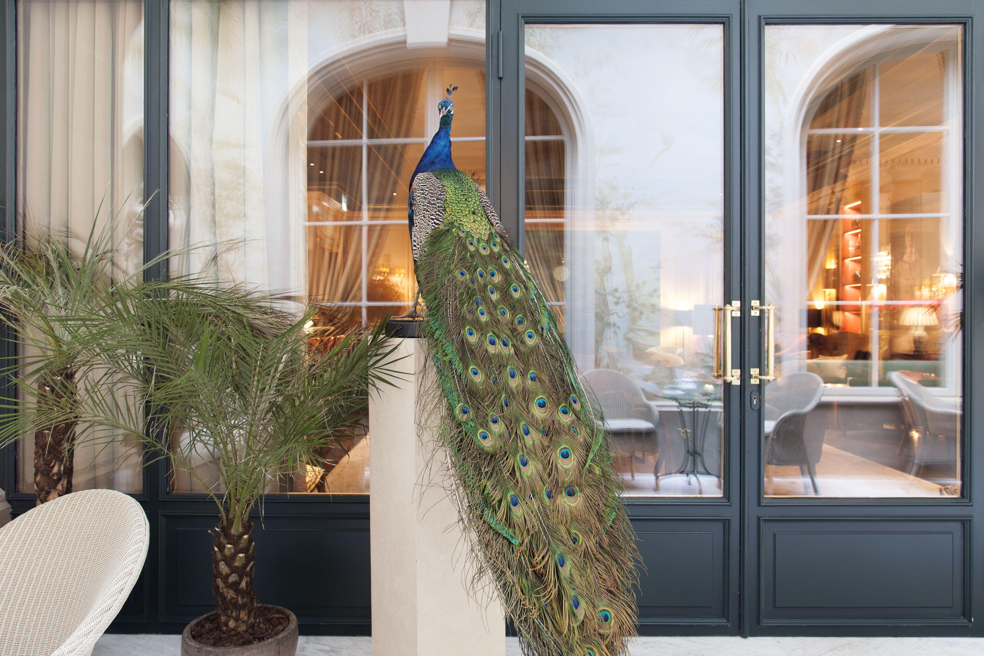 Hotel Le Bristol Paris, Oetker Parigi